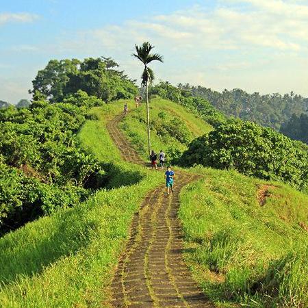 Sight Seeing Best Of Ubud Bali Tour